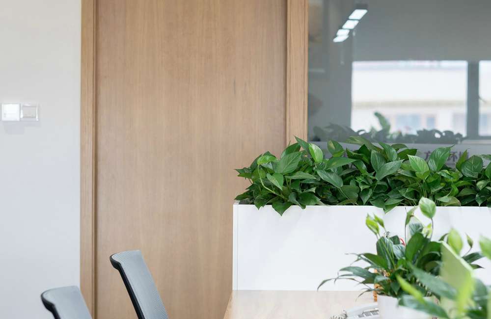 鄭東新區(qū)教育公司辦公室裝修設(shè)計案例