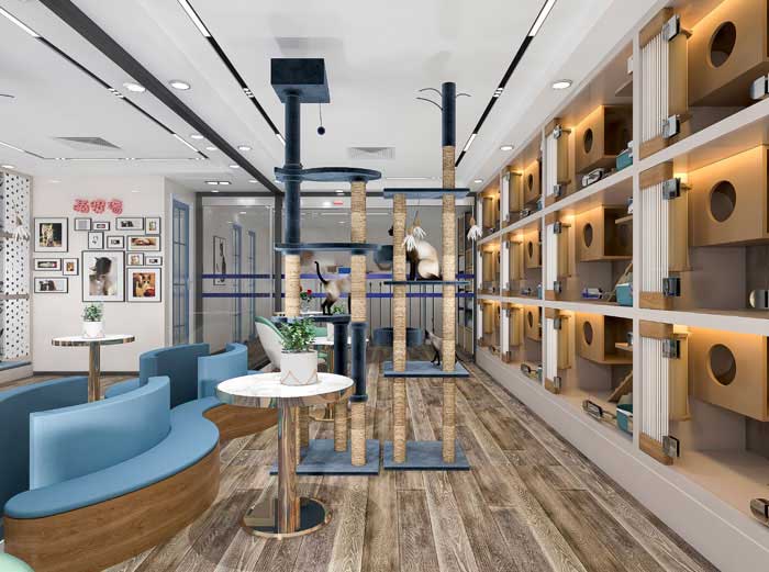 洛陽寵物店裝修設(shè)計(jì)效果圖