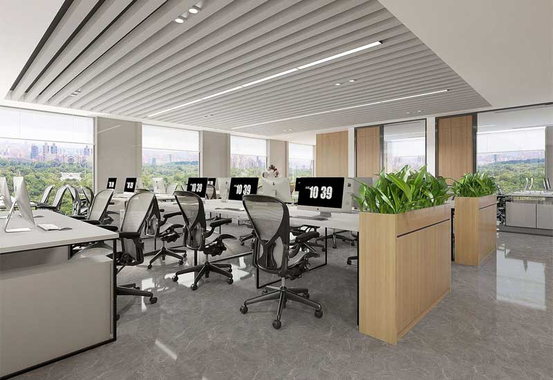 鄭州辦公室裝修設(shè)計(jì)的綠植種類(lèi)：耐陰與易養(yǎng)護(hù)品種